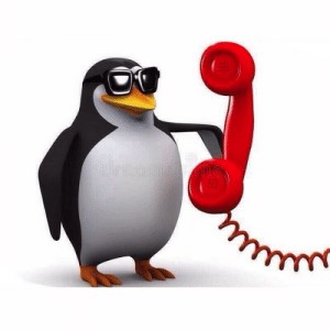 Create meme: penguin, penguin with phone meme, the penguin with the phone