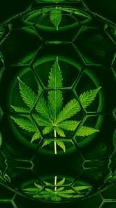 Создать мем: марихуана на черном фоне, leaves green, конопля арт