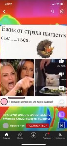 Создать мем: мемы орущая женщина и кот, веселые мемы, мемы про школу