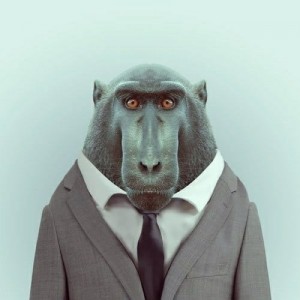 Создать мем: животные в костюмах, обезьяна в галстуке, обезьяна в костюме