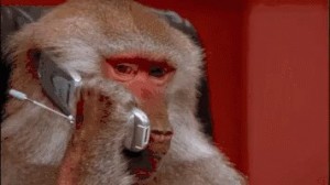 Create meme: a monkey with a phone photo, baboon gif, the monkey talking on the phone GIF