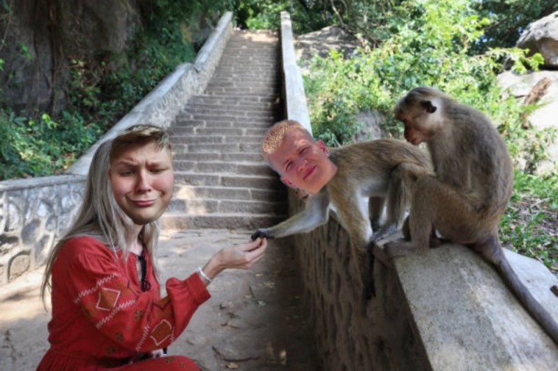 Create meme: monkey , maymun , cat 