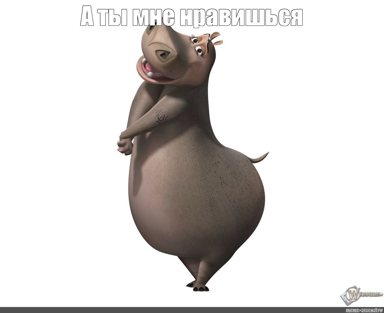 Found on Bing from madagascar.dreamworks.com  Мадагаскар, Мемы, Бегемот