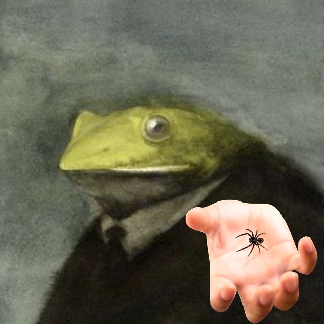Create meme: the trick , frog , people 