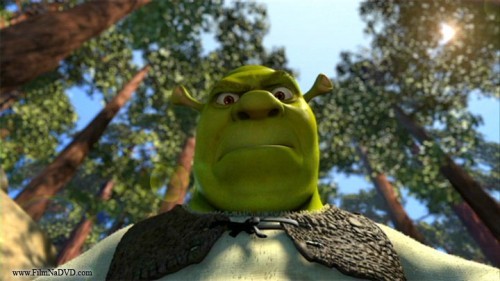 Create meme: Shrek , Shrek from below, Shrek Shrek