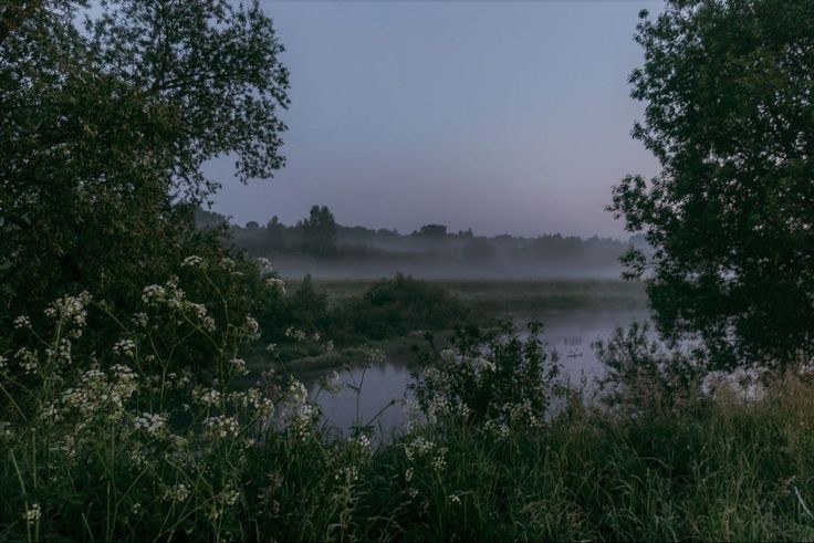 Create meme: morning fog , morning on the river, nature 