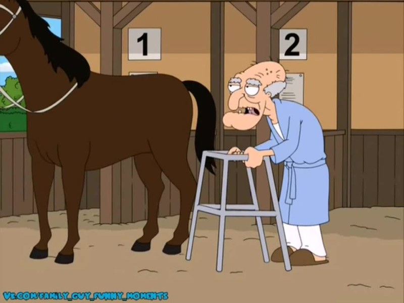 Create meme: It's all fucking family guy stuff, Family guy's all fucked up around, Family guy horse