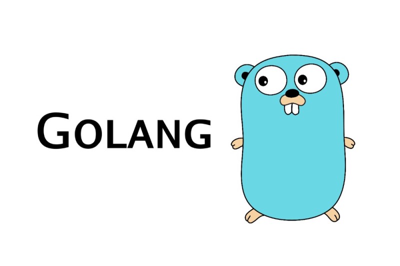 Create meme: golang for beginners, text, golang lessons