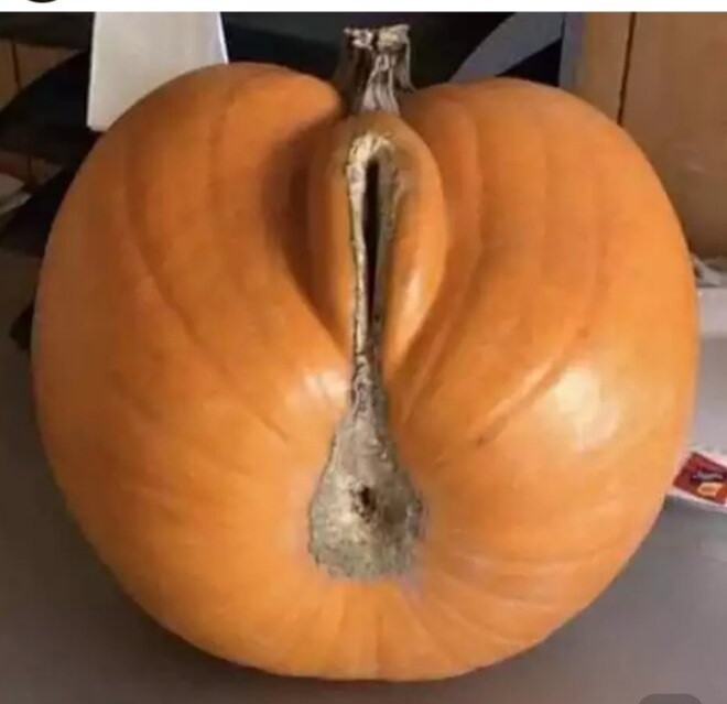 Create meme: pumpkin , funny pumpkin, pumpkin with a body