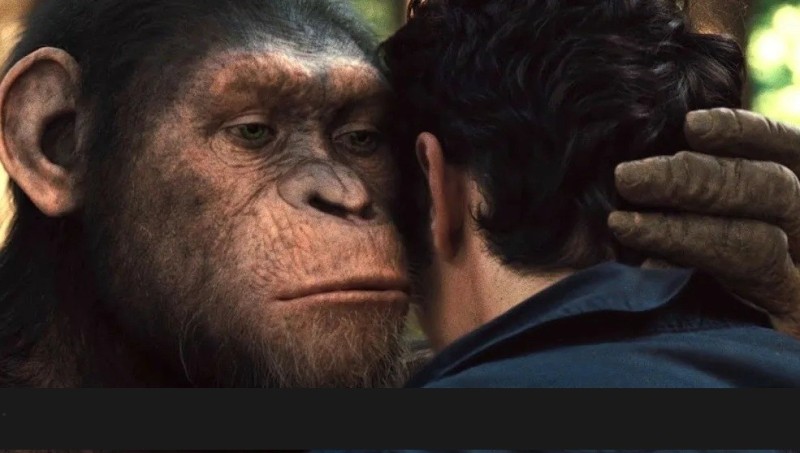 Создать мем: планета обезьян цезарь, восстание планеты обезьян 2011, планета обезьян 2