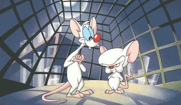 Создать мем: мультик про мышей которые хотели захватить мир, пинки и брейн захватить мир, мультик пинки и брейн