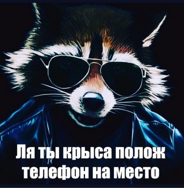 Create meme: cool raccoon, raccoon , raccoon art