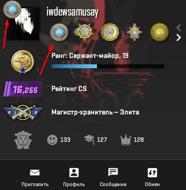 Create meme: screenshot , Master Guardian elite, CS go medals