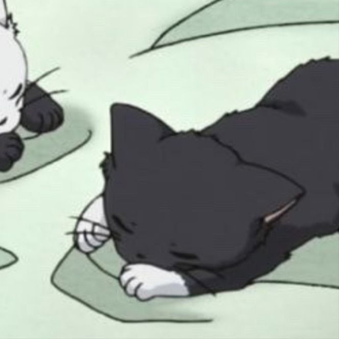 Create meme: sleeping cat anime, anime cat sleeps, the cat from the anime