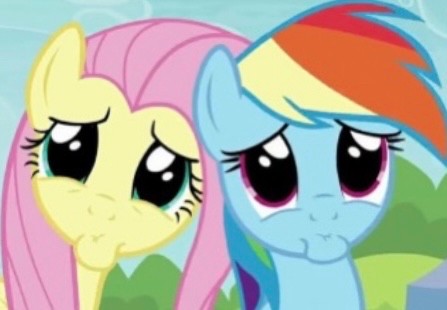 Create meme: pony , my little pony friendship is magic , friendship is a miracle