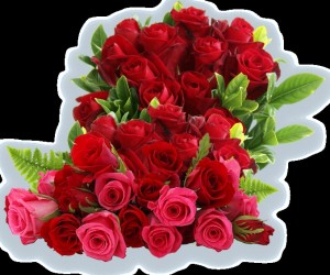 Create meme: Flowers, bouquet, a bouquet of red roses