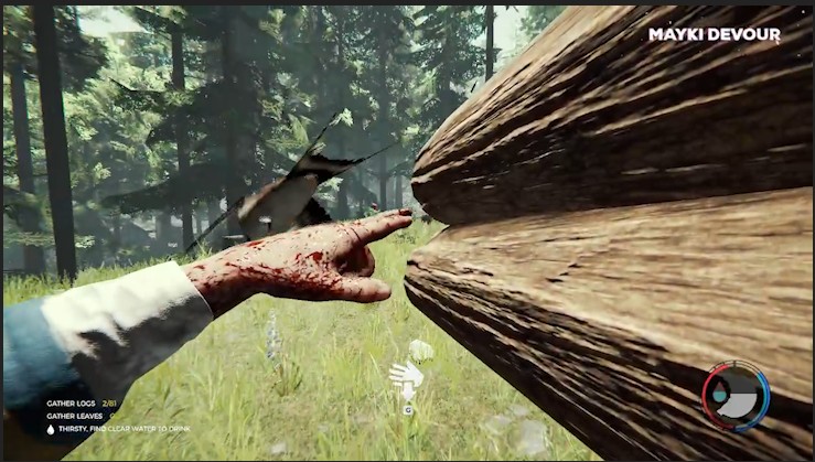 Создать мем: игра форест, the forest ps 4, скриншот