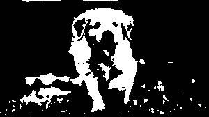 Create meme: rottweiler stencil, dog stencils on the wall, labrador dog
