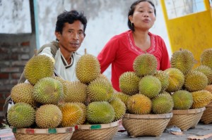 Create meme: fruit Singapore durian, durian, durian Sri Lanka