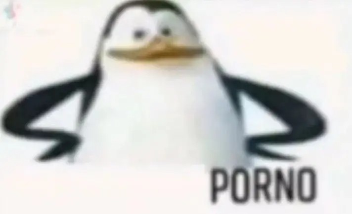 Создать мем: человек, пингвин шкипер, penguin