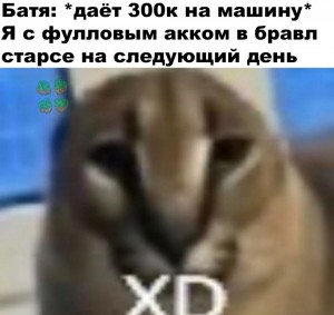 Создать мем: кот шлепа, русский кот шлепа, шлёпа русский кот