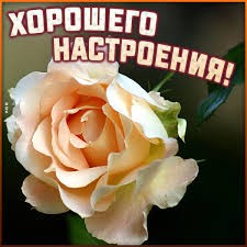 Create meme: favorite flowers, mood, good mood