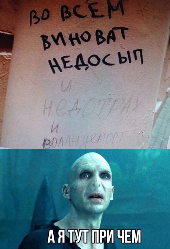 Create meme: Harry Potter , Voldemort from Harry Potter, Valen Demort is to blame for everything