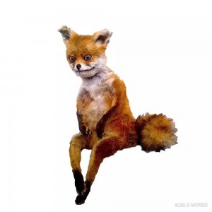 Create meme: a stuffed Fox, stoned Fox