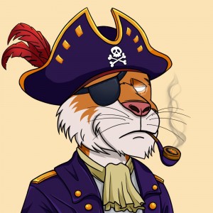 Создать мем: пират, кот джек воробей, кот в пиратской шляпе
