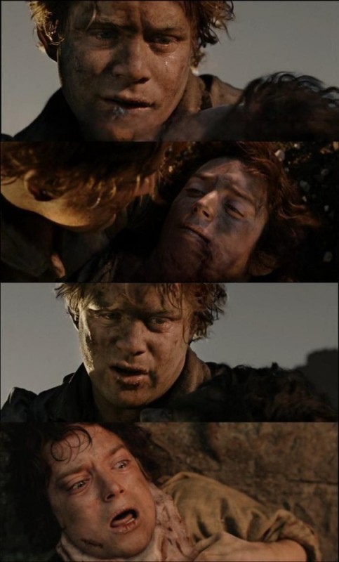 Create meme: memes of the lord of the rings, Frodo and Sam , Sam the Lord of the rings