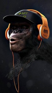 Create meme: monkey big, monkey