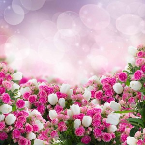 Create meme: flowers day, background roses, beautiful flowers