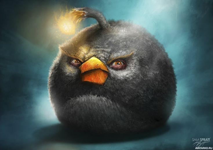 Create meme: angri birds black, birds angry birds , birds of the angri birds