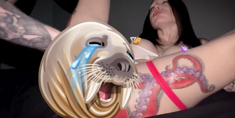 Create meme: smile walrus, girl , patreon leaks