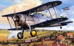 Create meme: aircraft Hawker fury, aircraft Hawker fury, old biplane