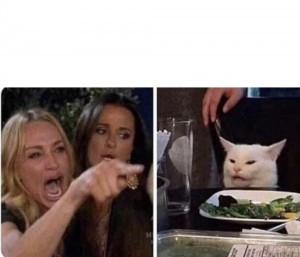 Create meme: cat meme, meme with a cat and two women, meme with screaming woman and a cat