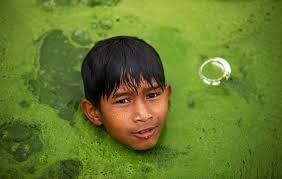 Создать мем: ganga river boys, bangladesh boy, непальцы юноши