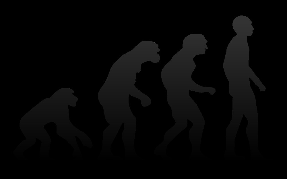 Симуляция эволюции. Эволюция человека. Антропология фон. Антропология обои. Эволюция человека Мем.