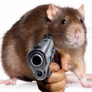Create meme: mouse rat, rats Dumbo, a rat with a gun