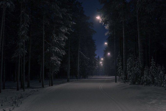 Create meme: night winter forest, forest winter night, night forest