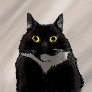 Create meme: surprised cat, funny cats, cat