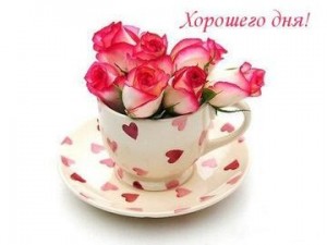 Create meme: Cup, flowers, roses in a Cup with wishes