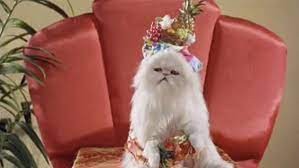 Создать мем: белая кошка в короне, кошка, мистер тинклс кот