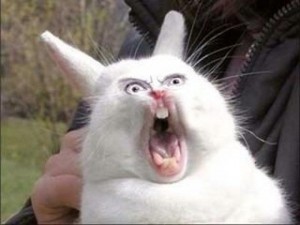 Создать мем: кролик, орущий кролик, кролик кричит мем