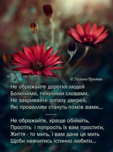 Create meme: wise quotes, flowers, beautiful flowers