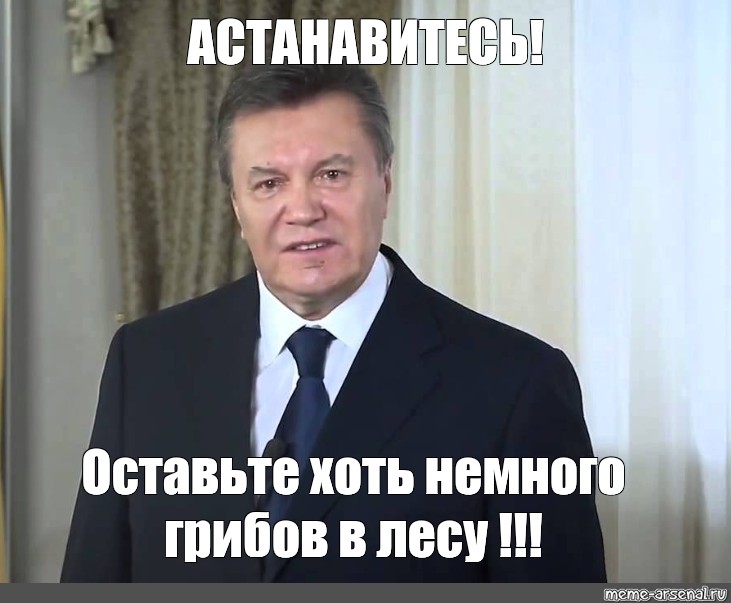 Остановитесь янукович мем. Порошенко АСТАНАВИТЕСЬ. Остановитесь Мем Янукович. Картинка Янукович остановитесь.