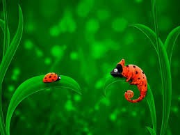 Create meme: chameleon and ladybug, animoticons on the phone, screensaver on htc