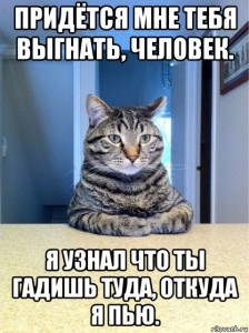 Создать мем: мем кот серьезный разговор, кот хозяин мем, Текст