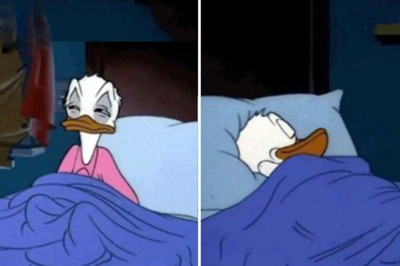 Create meme: Donald duck , sleepy meme, Donald duck sleeping