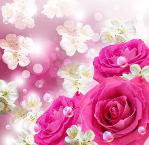 Создать мем: красивые цветы розовые, цветочные фоны, цветы открытки